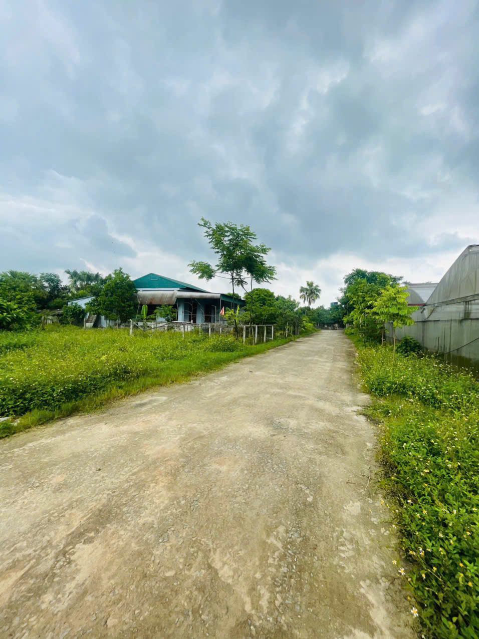 Chính chủ gửi bán đất rẻ tại thôn liên hà đường rộng thông thoáng dân cư đông  Gần chợ gần trường học 