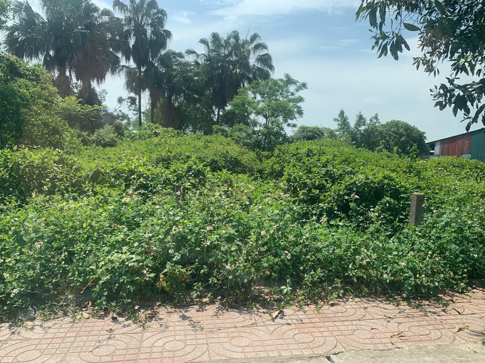 Lô Đất rất đẹp sát bên ub tân lâm hương, đối diện sân bóng, sát bên chợ và trường tiểu học