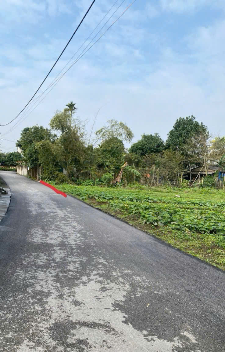 Lô đất đẹp thuộc Tdp Liên Thanh, phường Thạch Hạ (cũ), Tp Hà Tĩnh