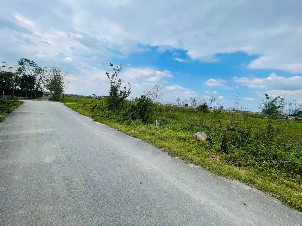 Đường 12m.  Lô đất đẹp tại tdp thuý hội thạch hưng.  Khu vực đầu tư đất đang nóng