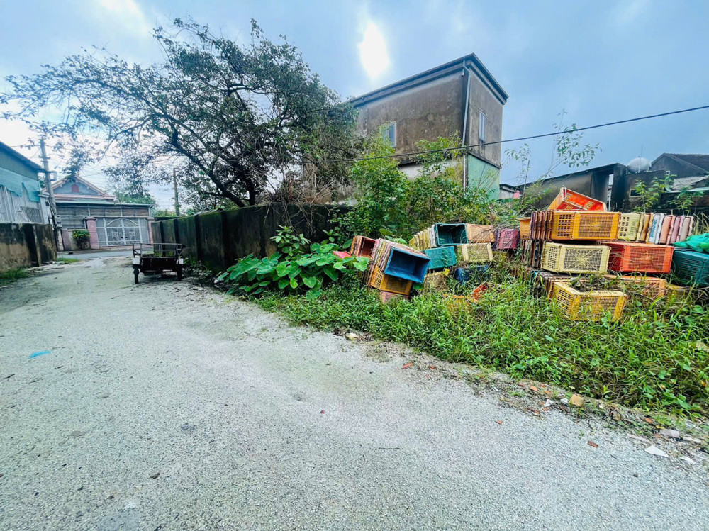 Lô đất giá rẻ gần bvtp. Ngõ đường mai thúc loan đi vào. 