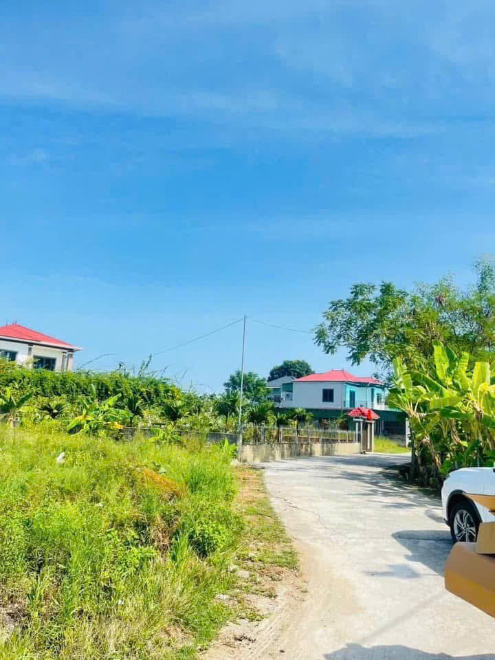 Tân hoà - Tân Lâm Hương Dưới đường tránh- gần ngay cổng chào Tân Hòa. 