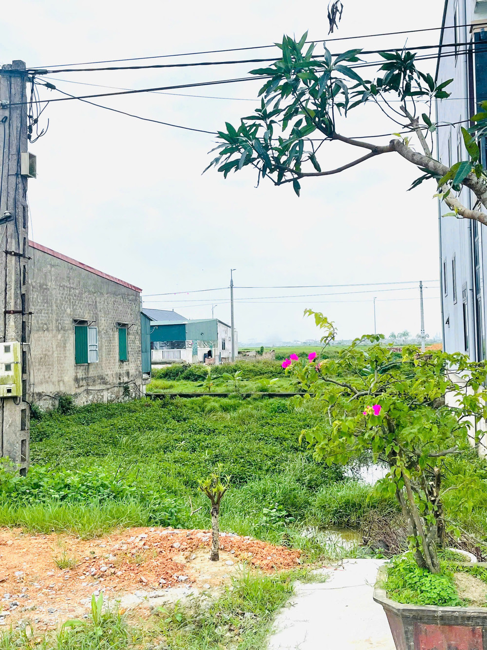 Lô đất kinh doanh, mặt đường Mai Thúc Loan