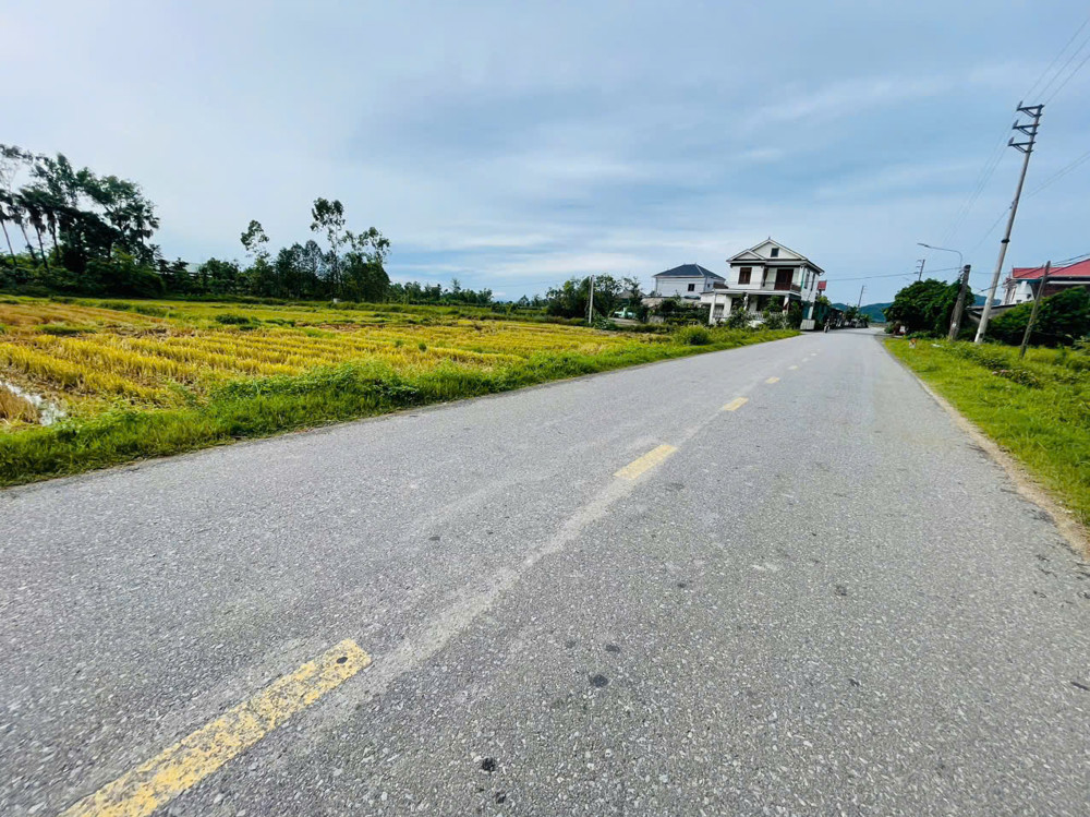 Siêu phẩm kinh doanh thạch đài mặt đường 92.  Cách trường lê quý đôn 500m