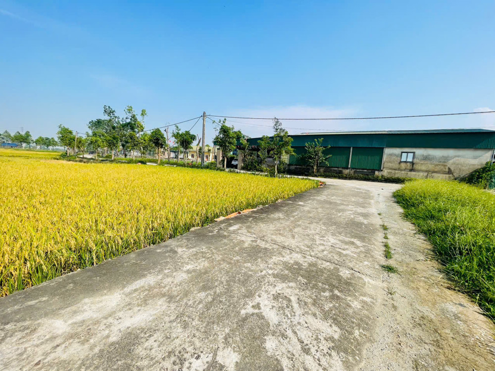 GẤP. GIẢM GIÁ BÁN GẤP
