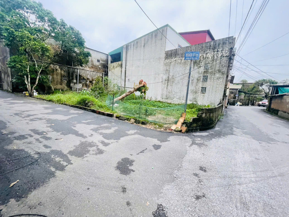 Bán đất Tổ 6 Nguyễn Du, 