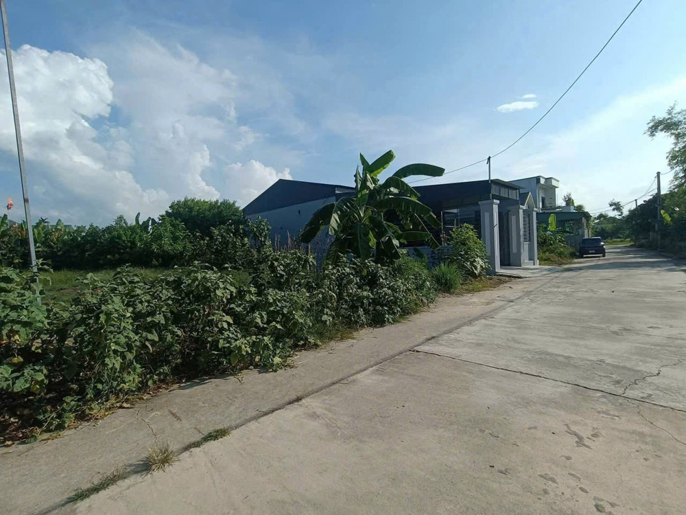 Đất tân hoà thạch tân
