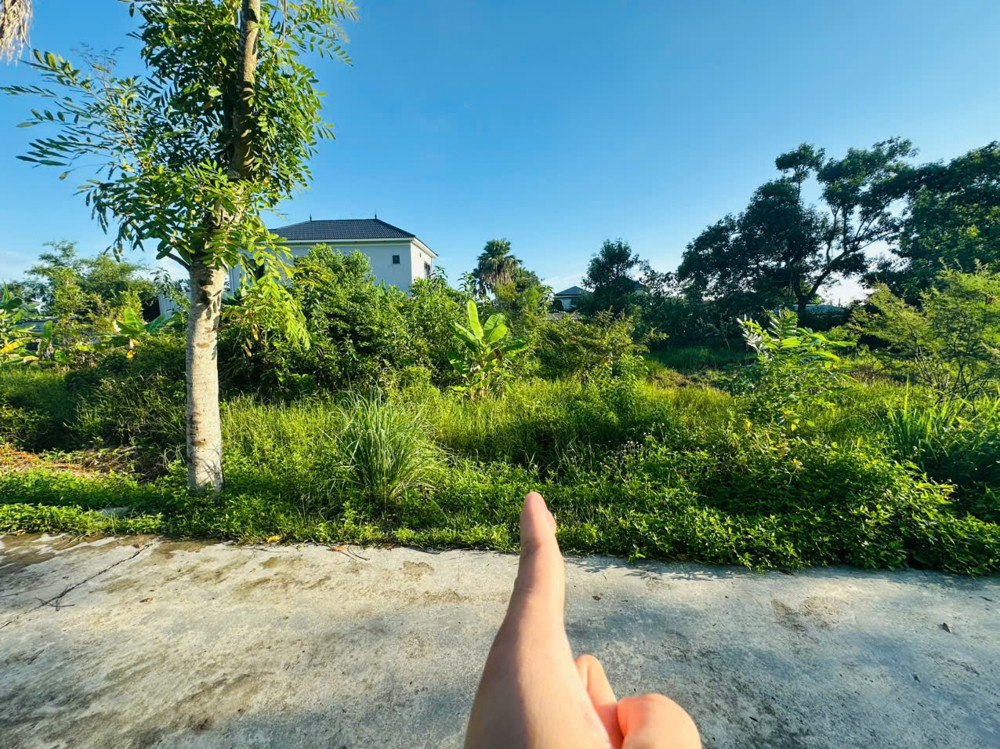 Đất làng cồn. Trung hoà thạch tân tp hà tĩnh