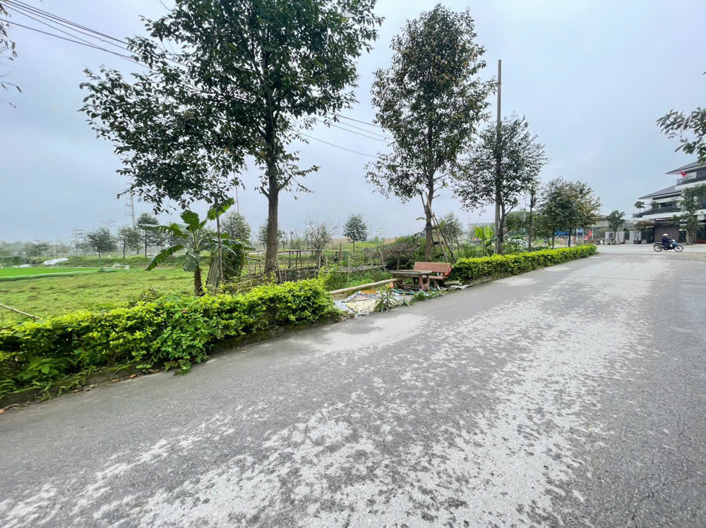 Lô đất đẹp nằm ngay trục chính thôn thanh phú. Sát đường lê ninh dân cư đi lại đông đúc